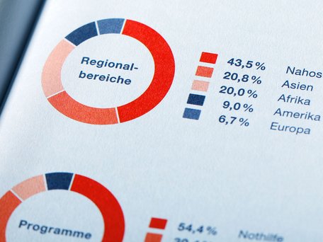Beispielabbildung eines Balkendiagramms aus dem DRK Jahrbuch