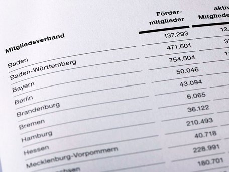 Beispielabbildung einer Tabelle aus dem DRK Jahrbuch
