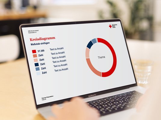 Abbildung von Balkendiagrammen auf einem Laptopbildschirm